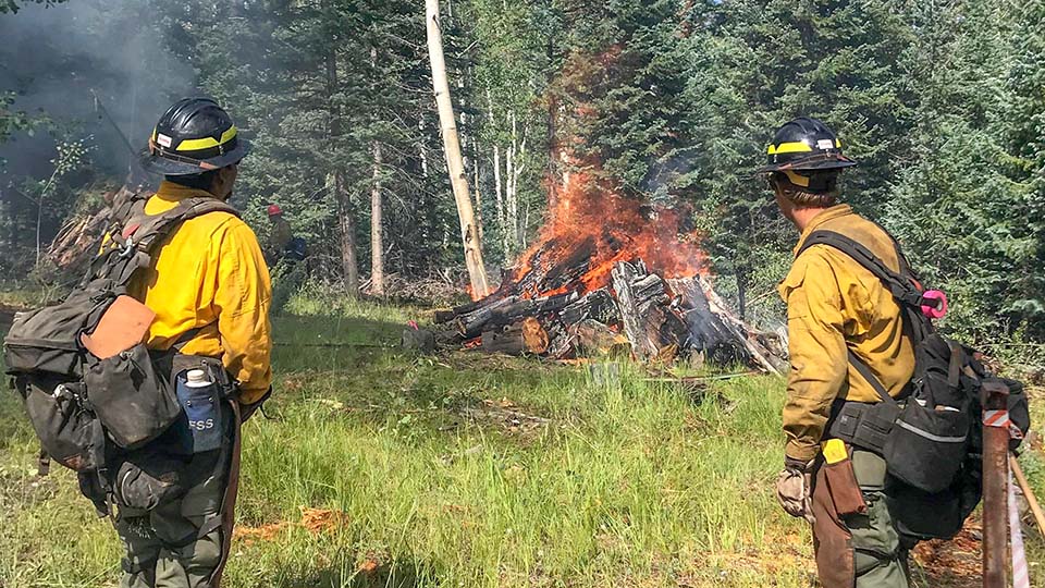 Two firefighters wearing yellow jackets and black helmets are burning a piles of heavy fuels