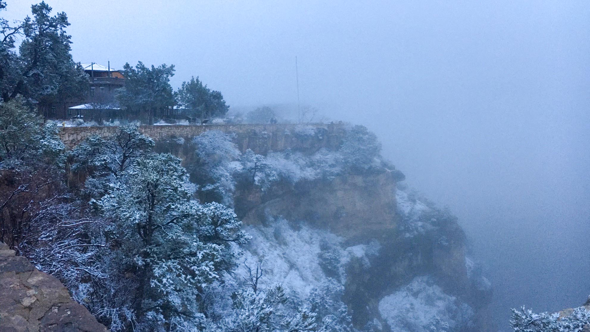 Grand Canyon Village along the rim of Grand Canyon with thick fog blocking the view, March 18, 2020. snow covered trees and vegetation descending the side of a cliff. Fog blocks the view of the landscape.