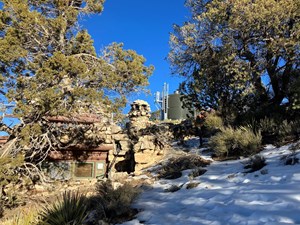 A dark gray water tank with a white ladder up the side is visible in the distance through pinyon and juniper trees