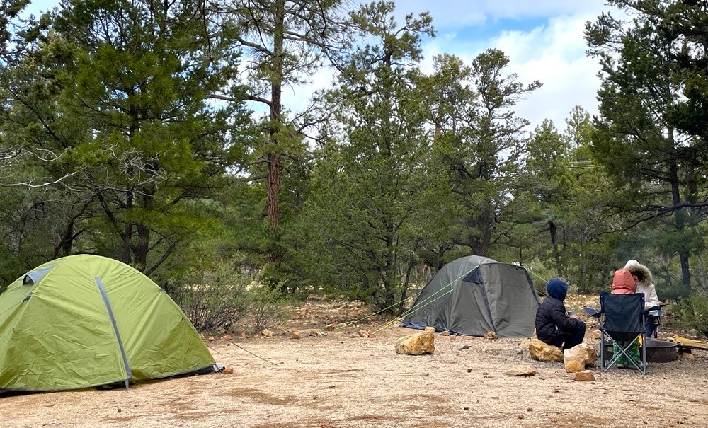 4-1-25 Mather Campground. Three children sit around a campfire with two large tents at a campsite. Tall trees surround the campsite.