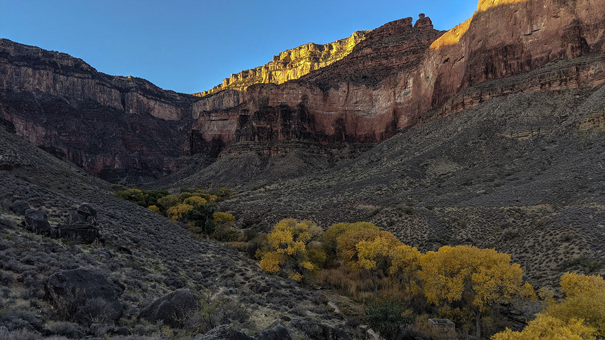 Tall yellow cottonwood trees line Havasupai Gardens approximately 5 miles below the South Rim