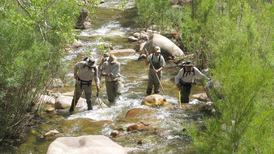 Four people wearing waders and hats and carrying poles, are standing in a creek