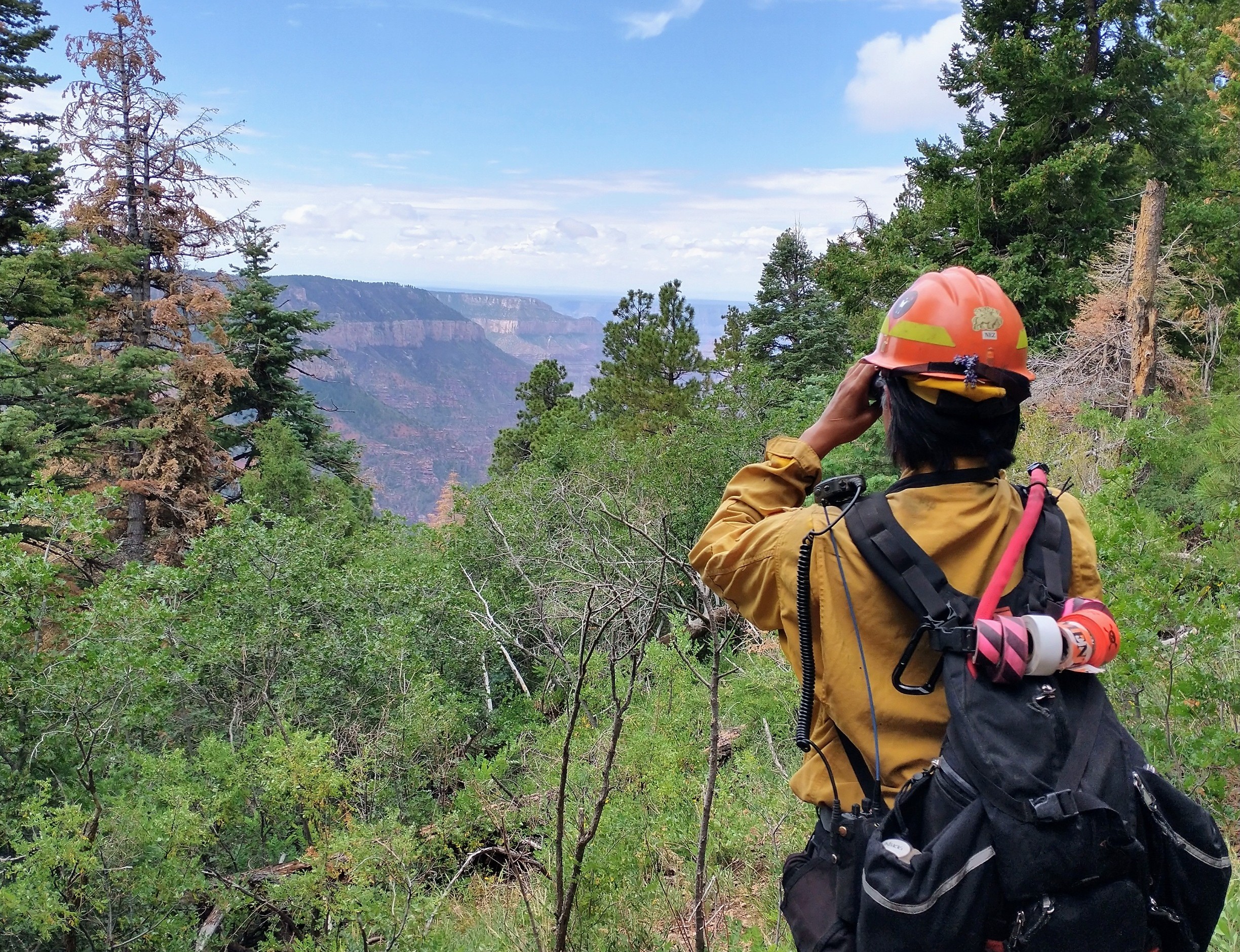 NPS employee monitors the Dragon Fire An wildland fire employee stands at the edge of the canyon with binoculars, monitoring the Dragon Fire.