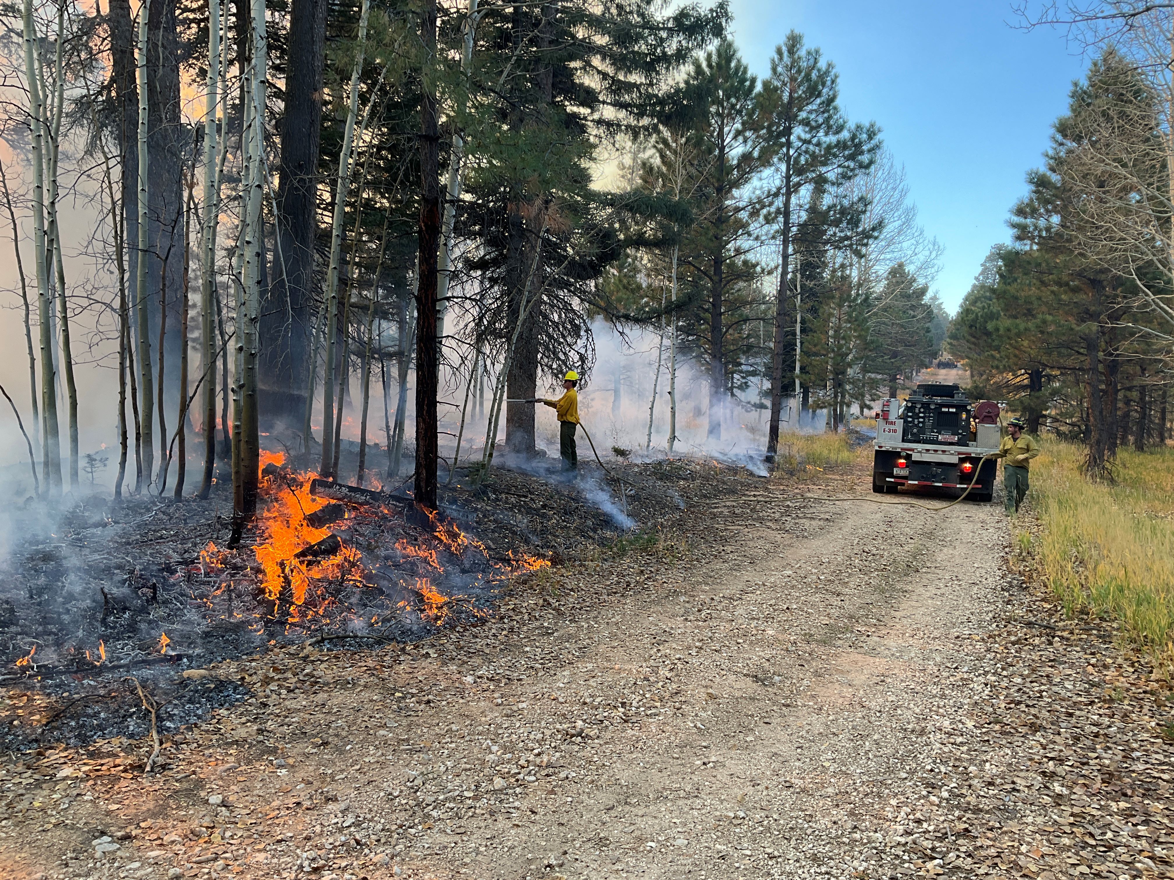 A small crew of firefighters monitor fire activity on the side of a road using an engine and a water hose
