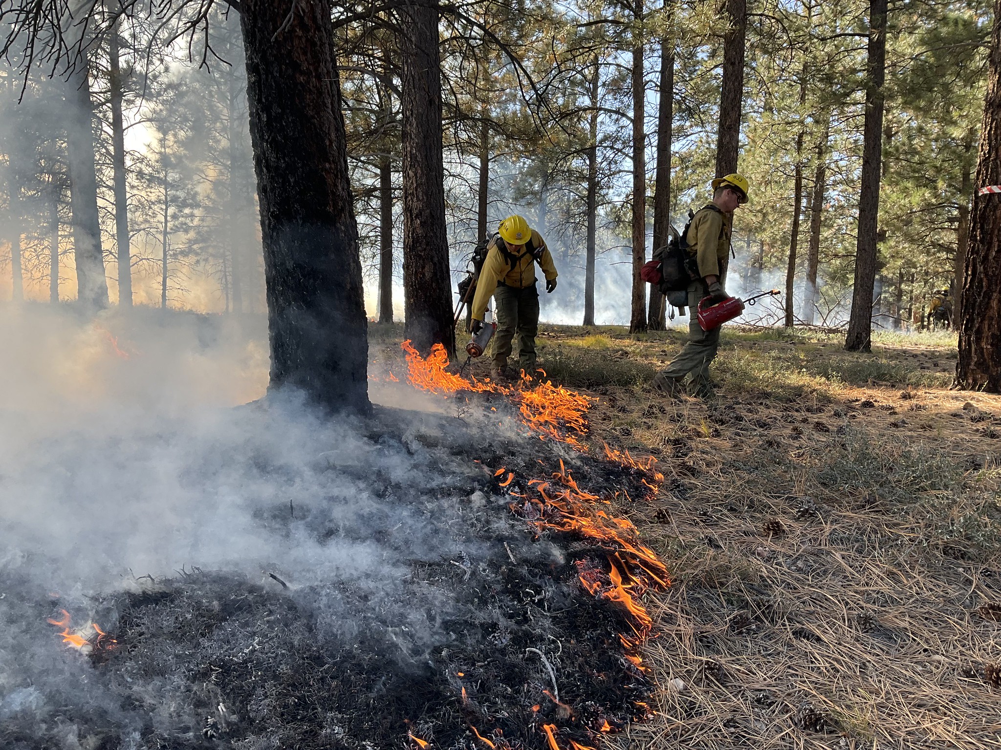 Two firefighters with drip torches walk along a fire line