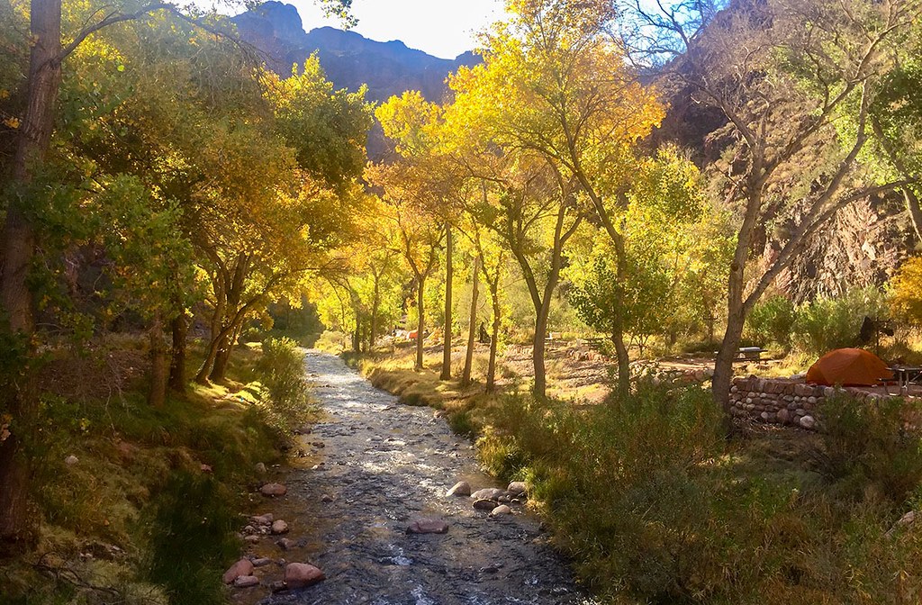 Bright Angel Creek near Phantom Ranch