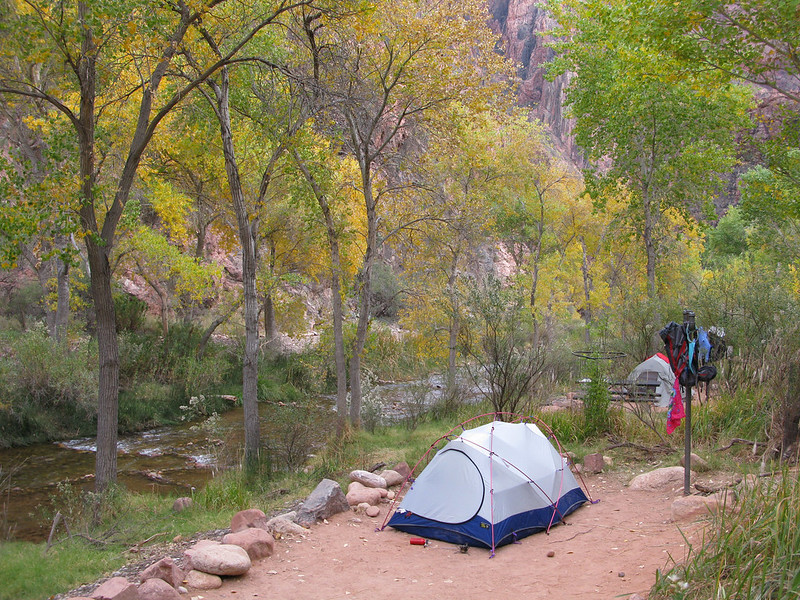 Tent at BA Campground A tent at an inner canyon campsite with cottonwood trees turning yellow all around