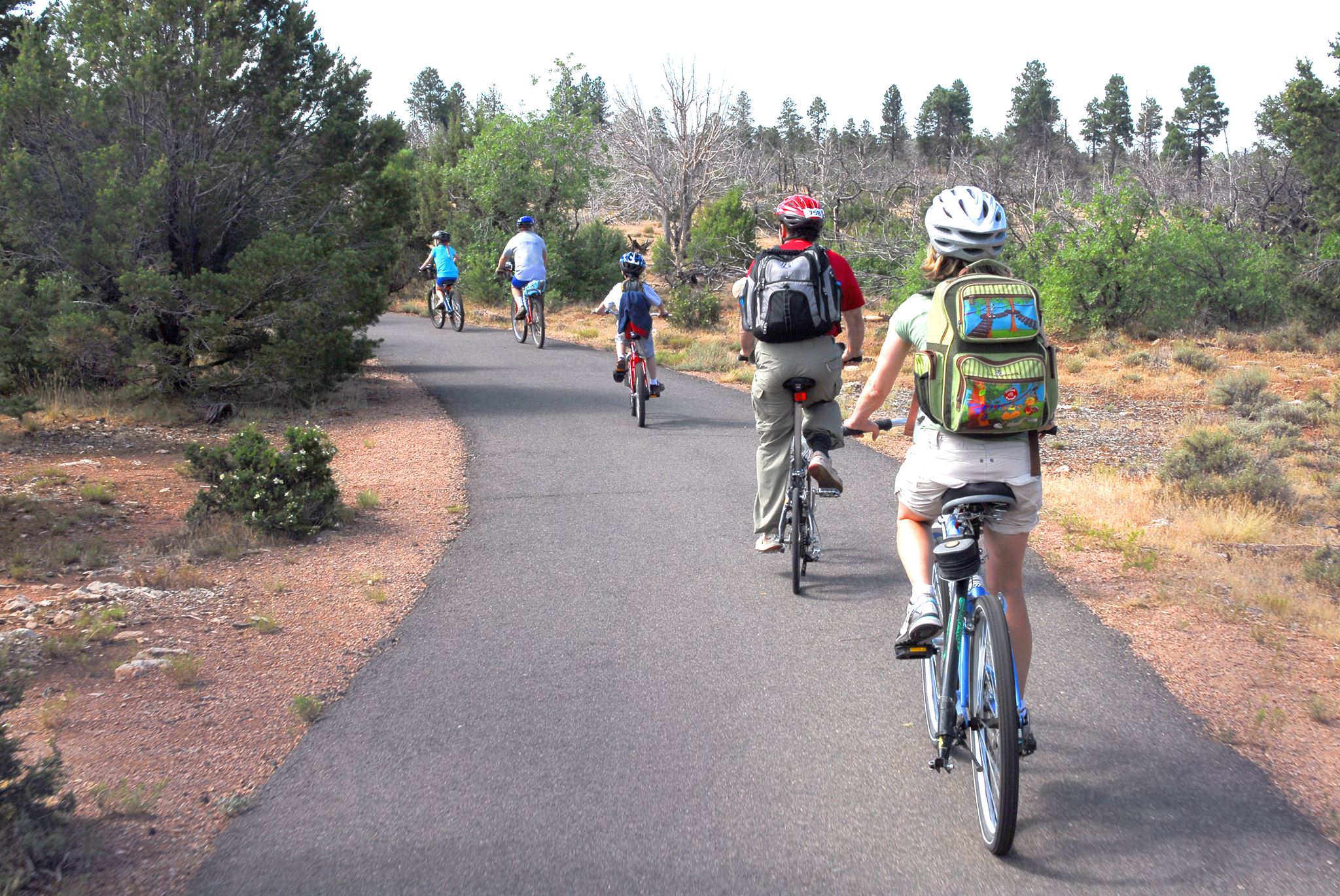 Bicycling along the Greenway Four bicyclists ride along the greenway trail with a forest on either side.