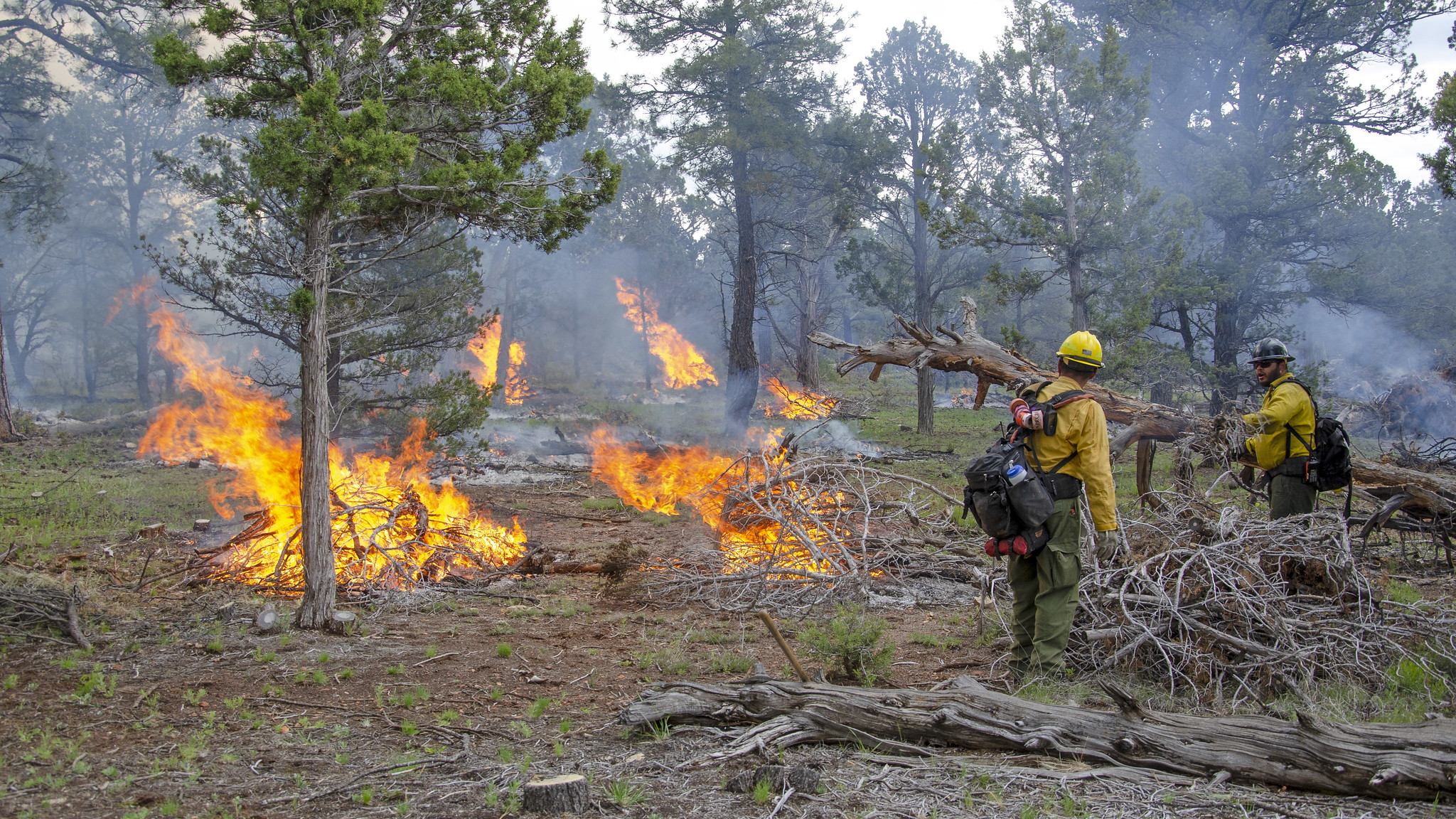 A small crew of wildland firefighters monitor an active fire