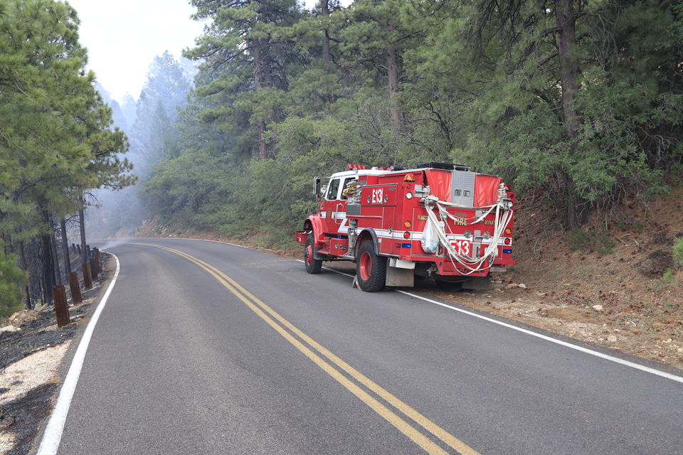 A red fire truck sits parked along the road surrounded by green trees