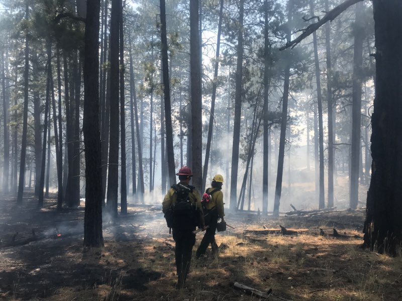 Two wildland fire personnel walk through a forest in smoke