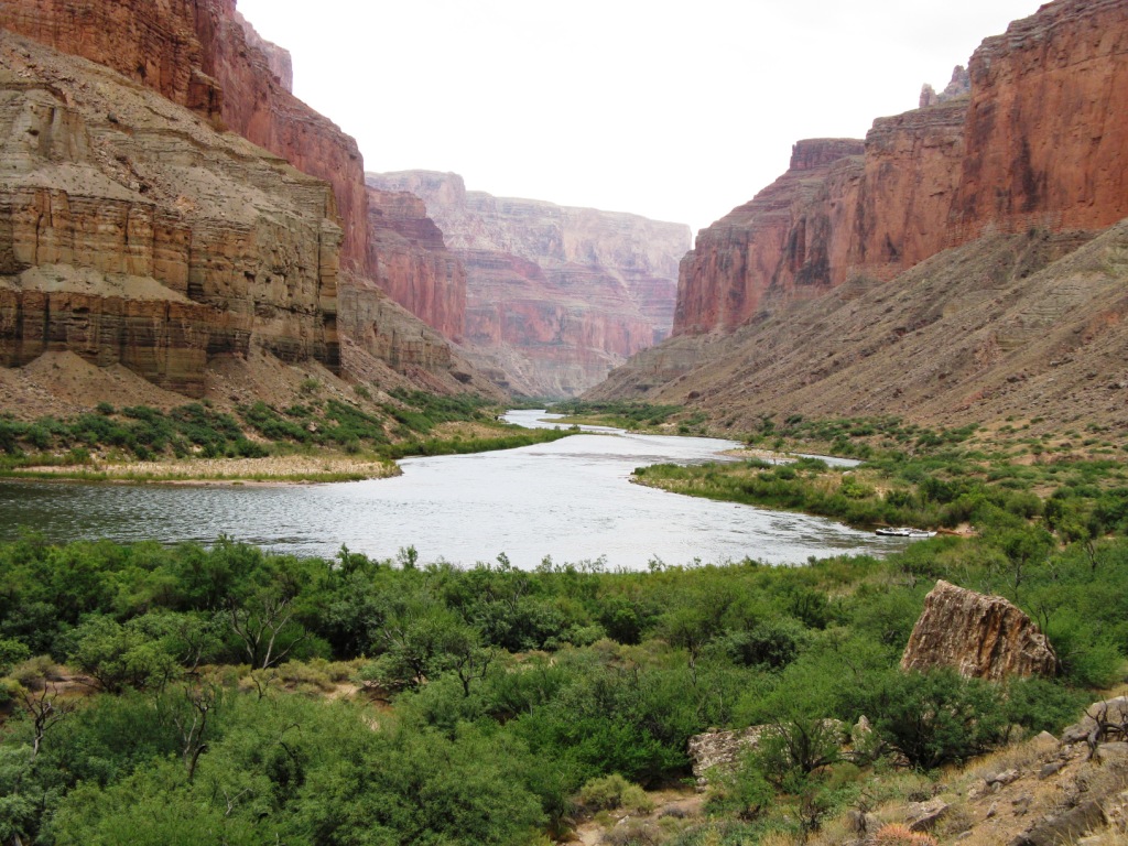 The Colorado River flows through the eastern half of Grand Canyon. The Colorado River flows through the eastern half of Grand Canyon.