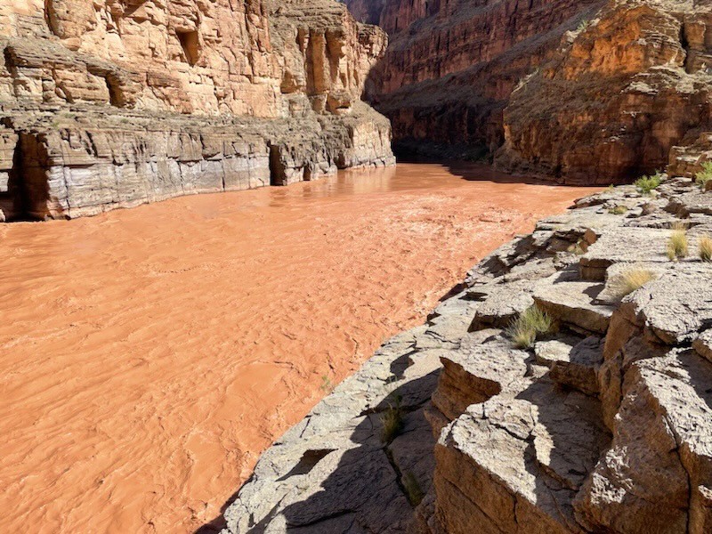 Havasu Creek on 8-22-2024 Dark brown water flows through a canyon