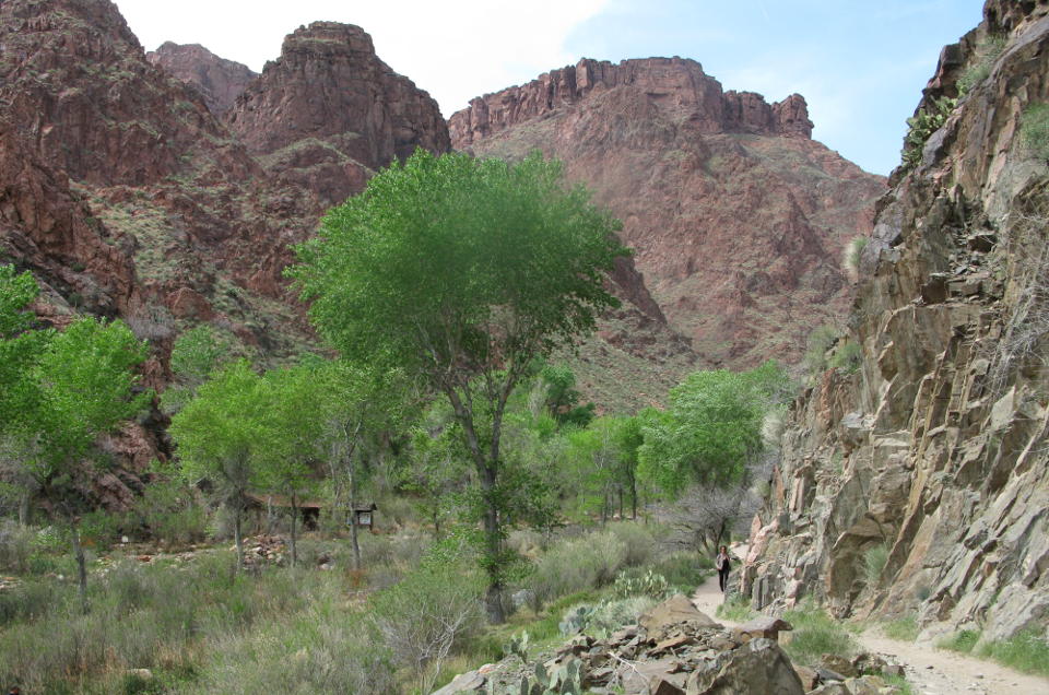 A trail at the base of a jagged cliff, on the right passing through a lush riparian area. In the background, towering cliffs.