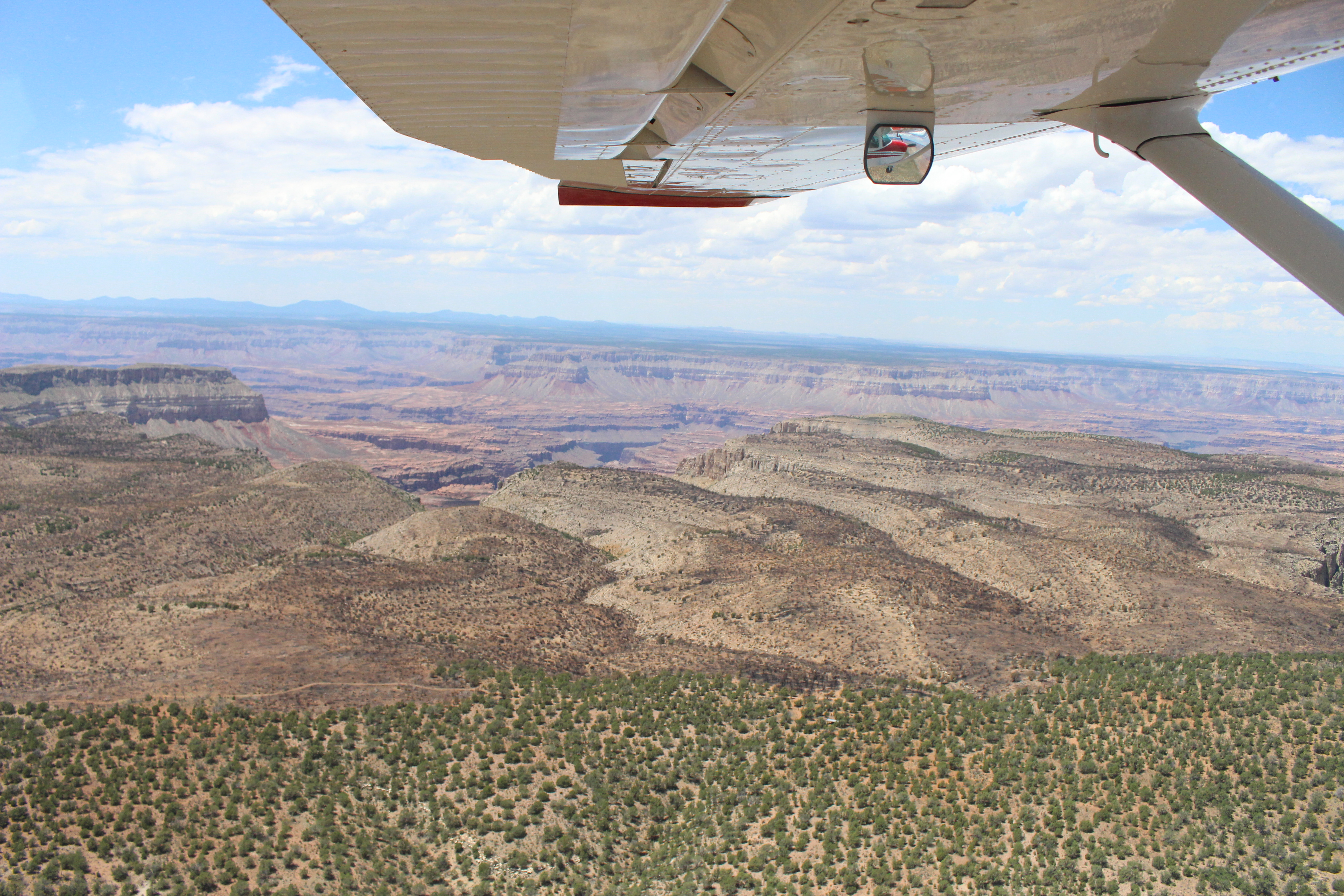 Aerial view of burned area looking out along plane wing with clear line between burned and unburned area.