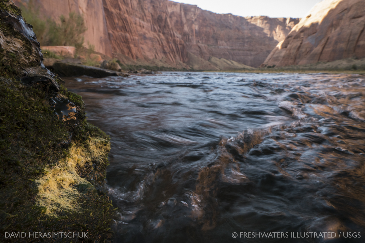 a river flowing below and between canyon cliffs. The surface of the water is turbulent.