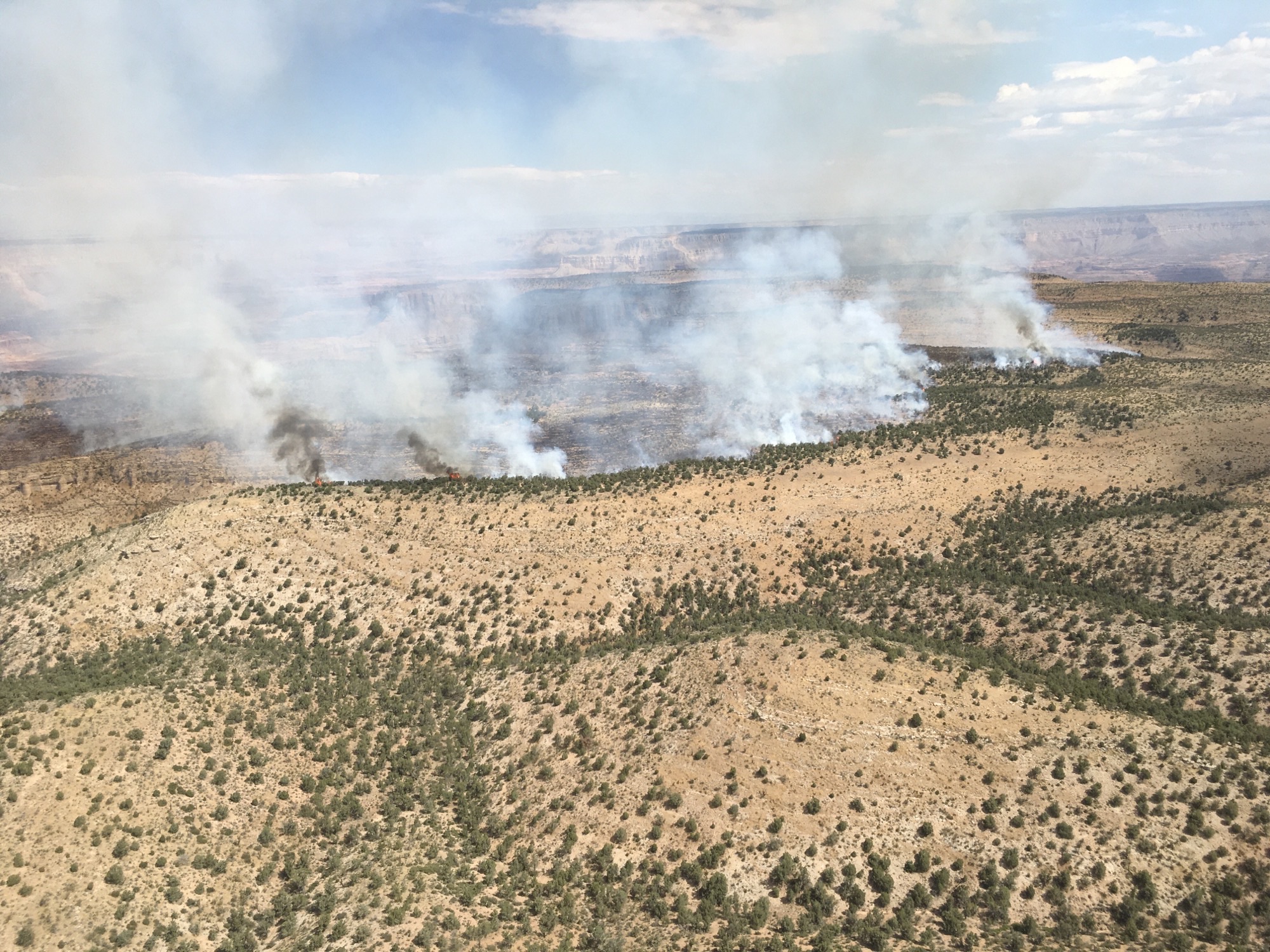 Aerial view of fire along rim of canyon.