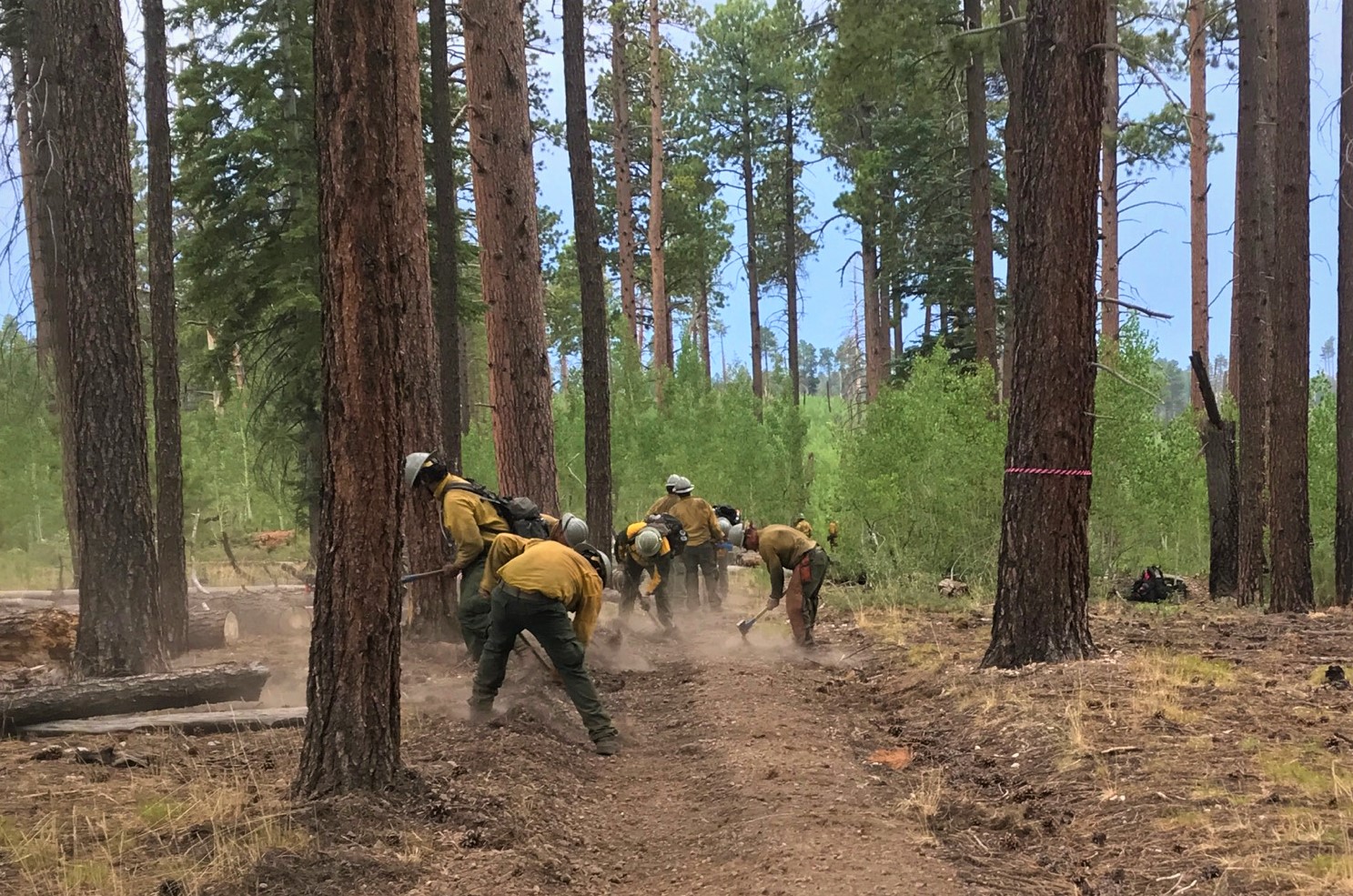 Navajo Hotshots digging a fire containment line Navajo Hotshots digging a fire containment line
