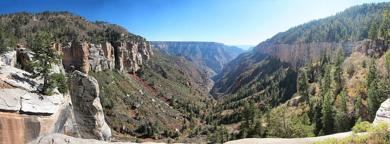 North Kaibab Trail-Coconino Overlook A V-shaped canyon landscape with trees