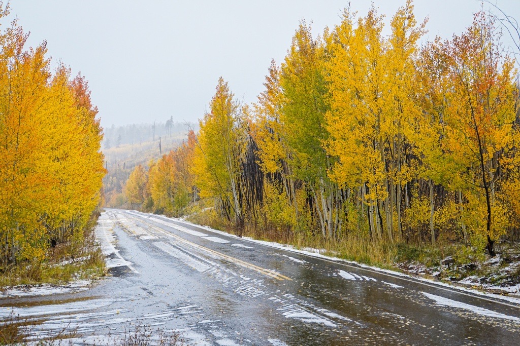 The Cape Royal Road lined with yellow aspen trees following a fall snowstorm that has left snow on the roadway