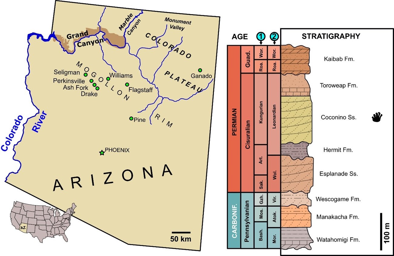 A map of Arizona and stratigraphic section of rocks exposed in Grand Canyon.
