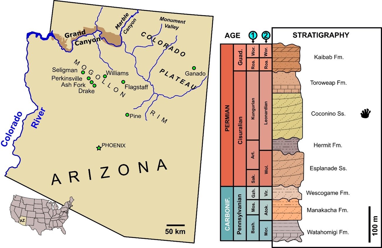 Figure 1 A map of Arizona and stratigraphic section of rocks exposed in Grand Canyon.
