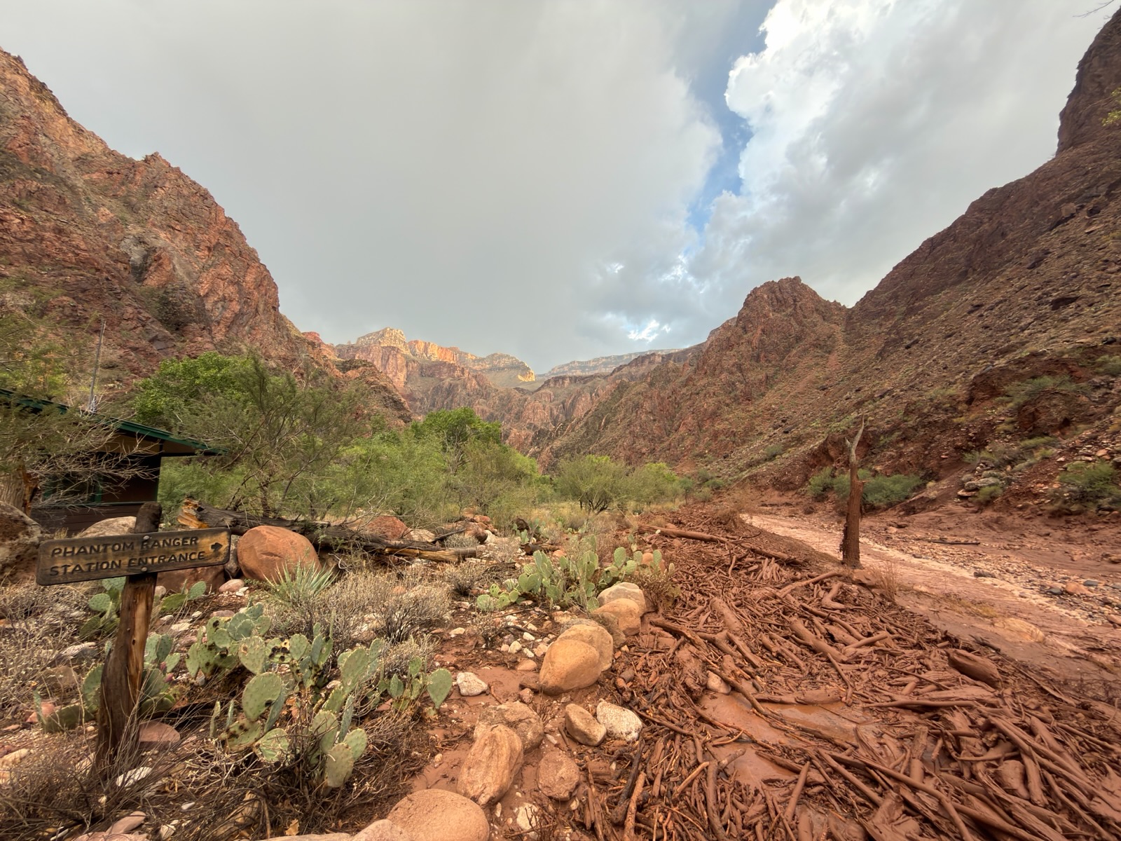 Dark red muddy water with woody debris surrounding the phantom ranch inner canyon area