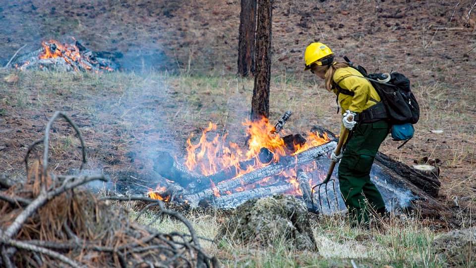 A female firefighter manages a woody debris pile along the South Entrance Road