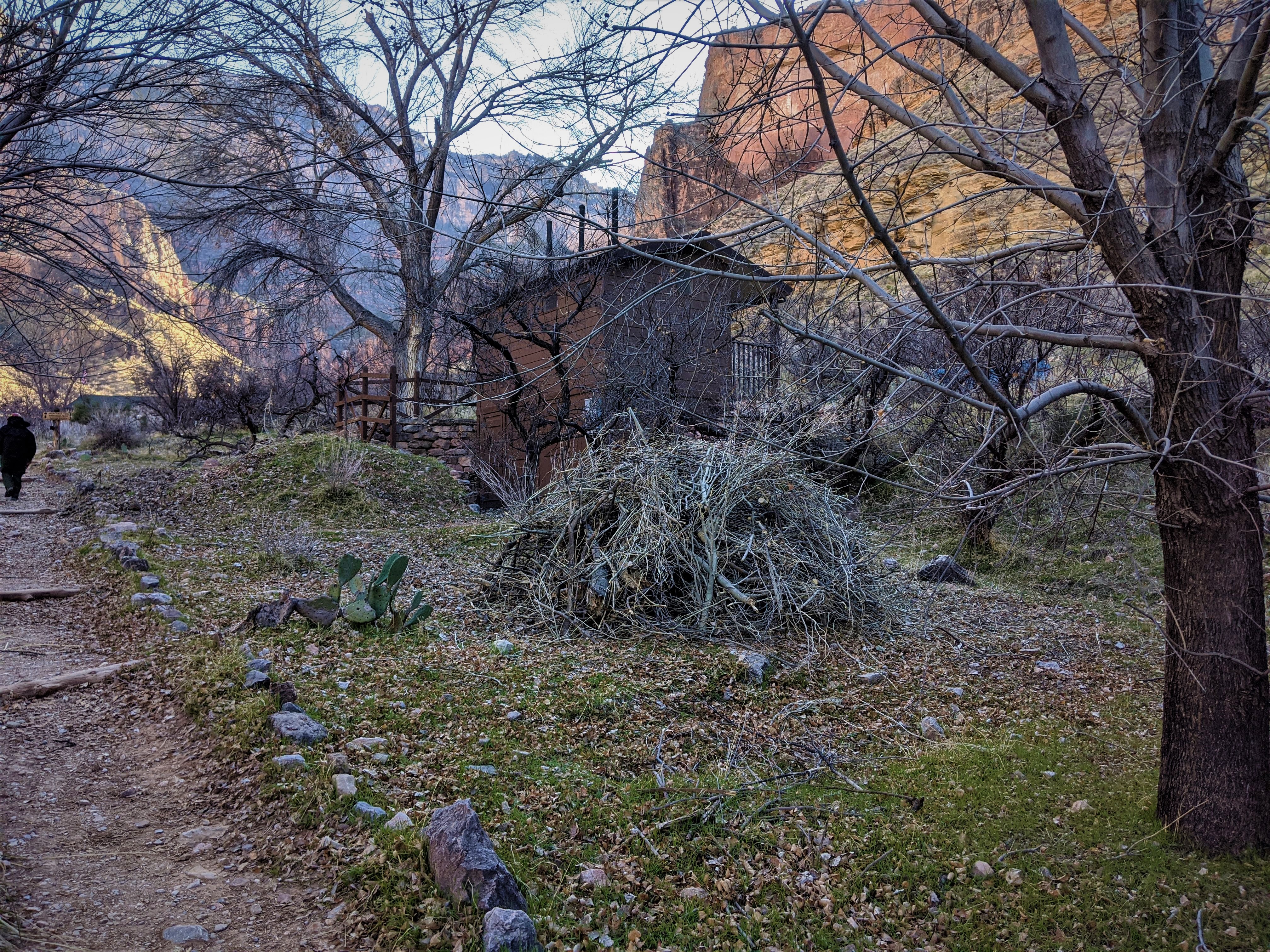 Multiple piles of woody debris are seen at the Indian Garden Campground