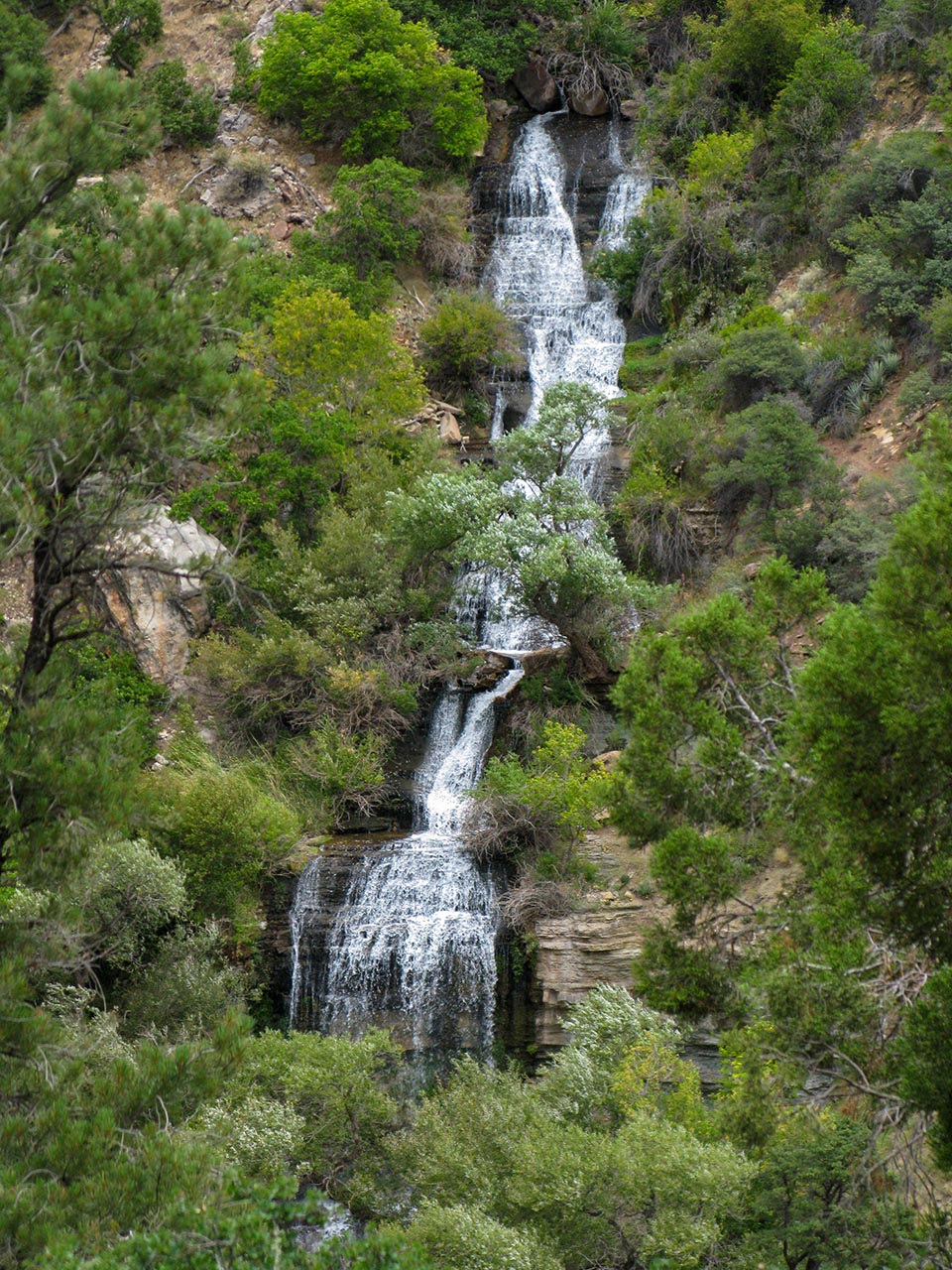 A waterfall gushes forth directly out of the cliffs, cascading over moss and fern.