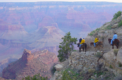 South Rim Mule Ride