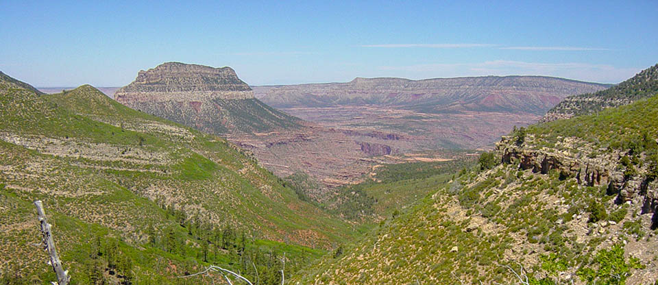 green brush covered slopes at the head of a canyon. a single butte in the foreground and canyon walls in the distance.