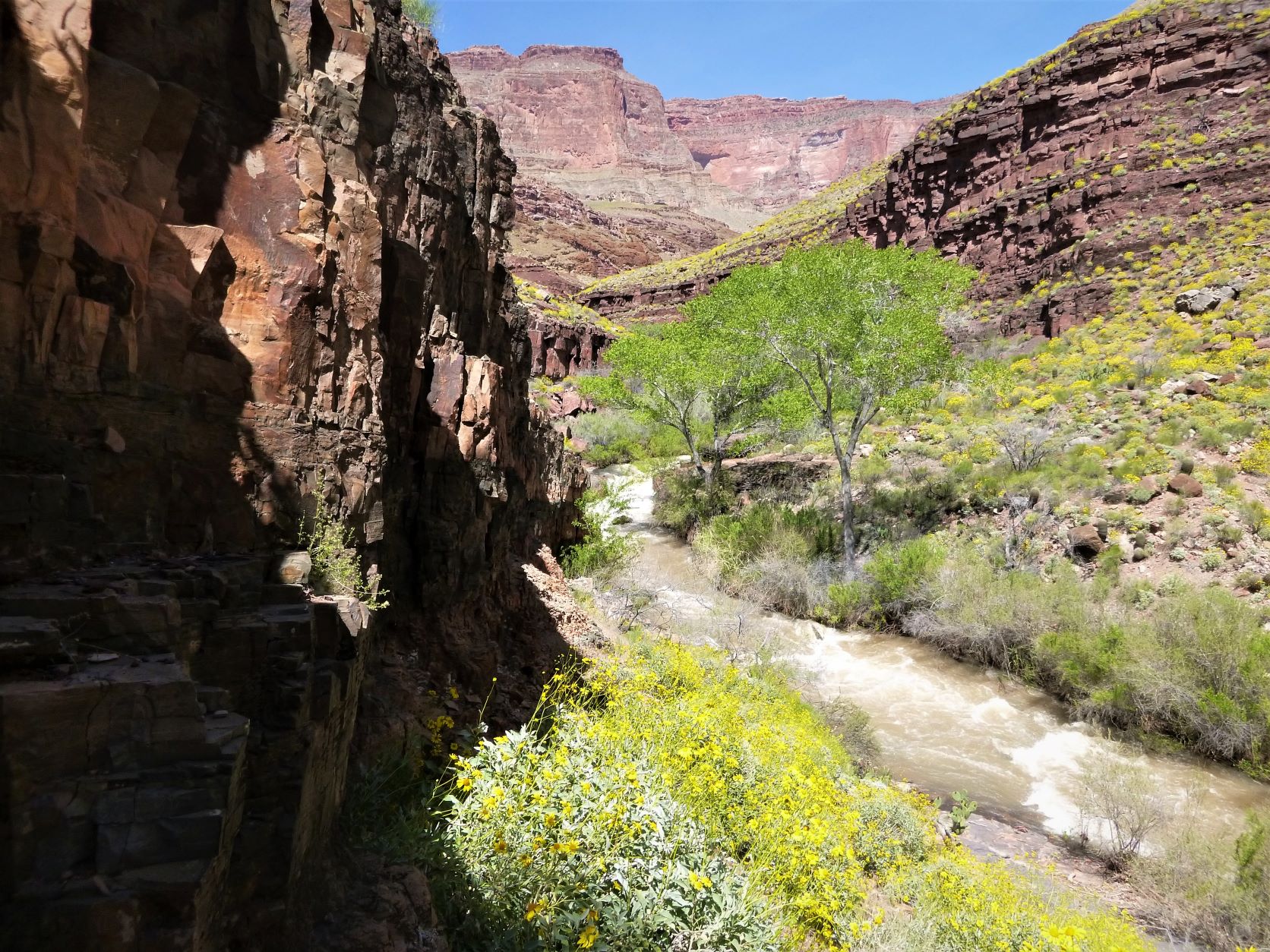 The Thunder River Trail and Tapeats Creek seen rushing by