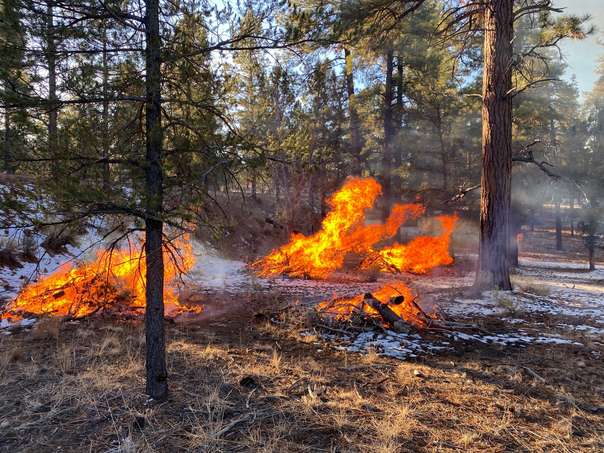 Two large piles of woody debris is ignited with snow on the ground