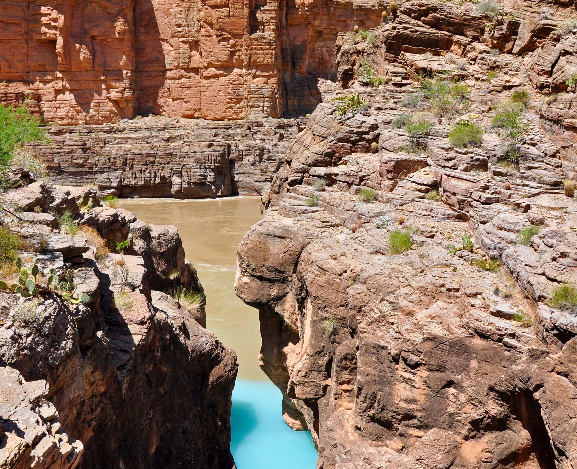 Effective immediately, the National Park Service (NPS) is requesting all river trips, both commercial and non-commercial, to voluntarily bypass Havasu Canyon on the Colorado river, located at river mile 157. turquoise blue waters of a creek meet brown river water beneath sheer canyon walls.