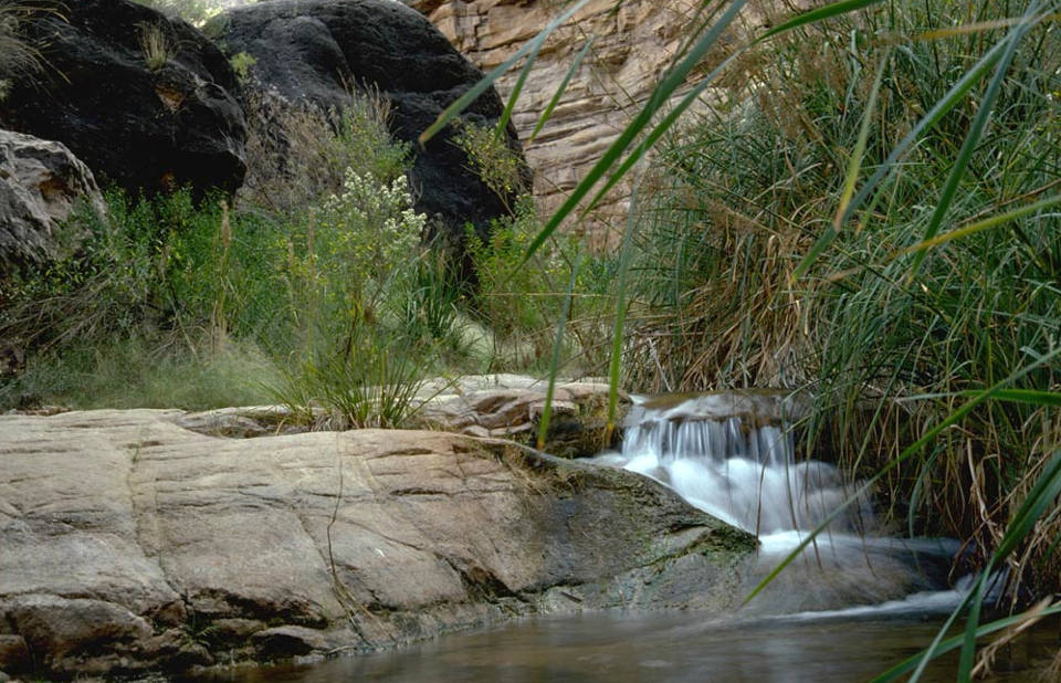 Small creek with water running over cascade of rocks surrounded by lush, green plants and large boulders