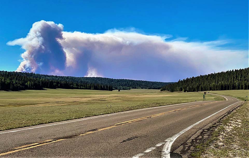 View from the North Entrance of Grand Canyon National Park of the Mangum Fire burning north of the park in the Kaibab National Forest on Thursday, June 11, 2020. Looking down a two lane road through and open park surrounded by forest with a column of smoke from a wildfire in the distance.
