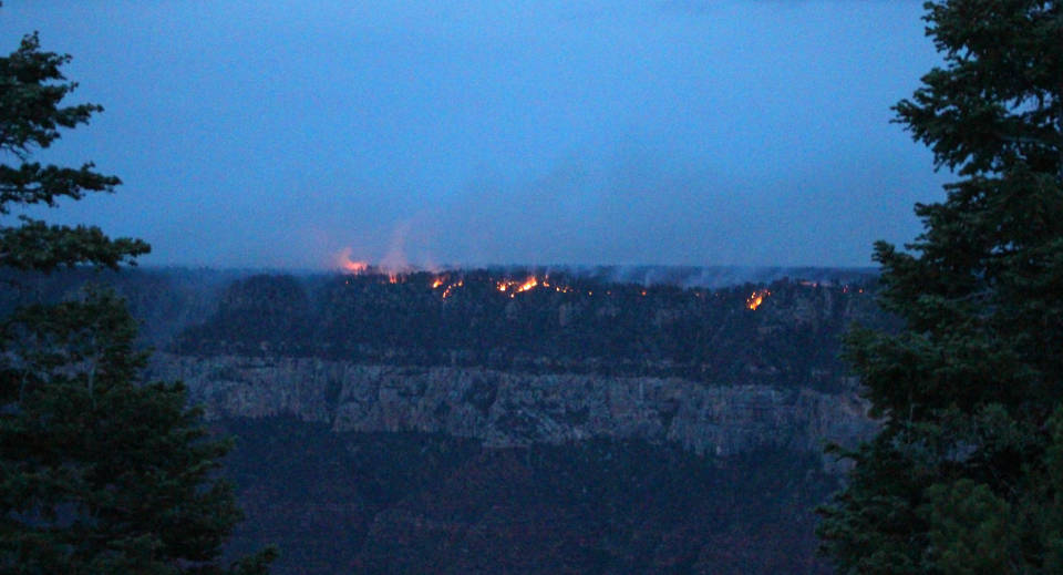 From a distance, during twilight: spots of fire burning along the forested edge of a canyon cliff. 