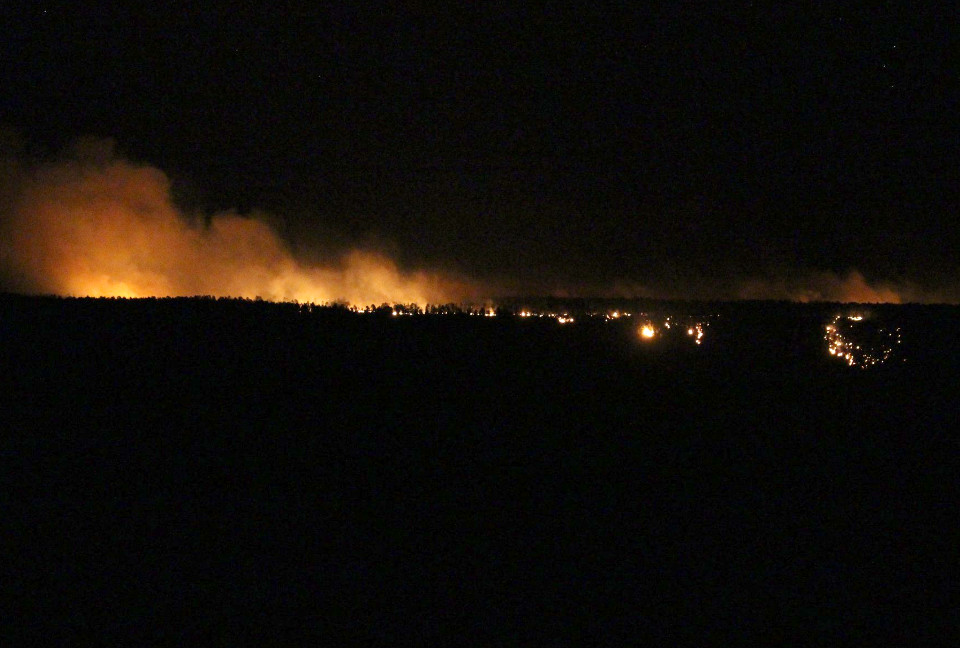 obi-fire20180805 night view of a wildfire burning on the horizon. individual trees and smoke overhead is illuminated by the flames