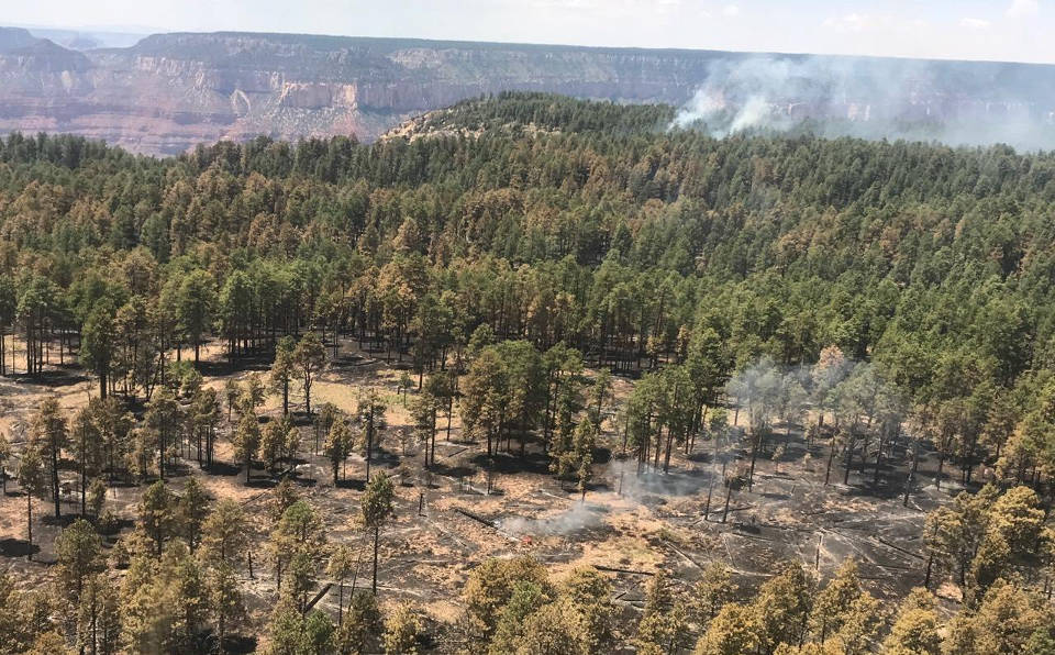 aerial view of a forested area with smoldering, blackened areas on the ground from a recent fire. In the distance, several white plumes of smoke.