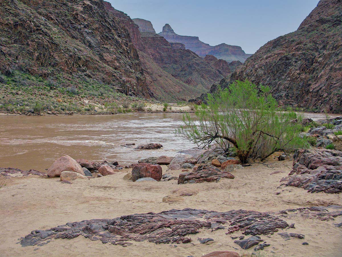 View from a sandy beach, past a muddy Colorado River with canyon cliffs on both sides.