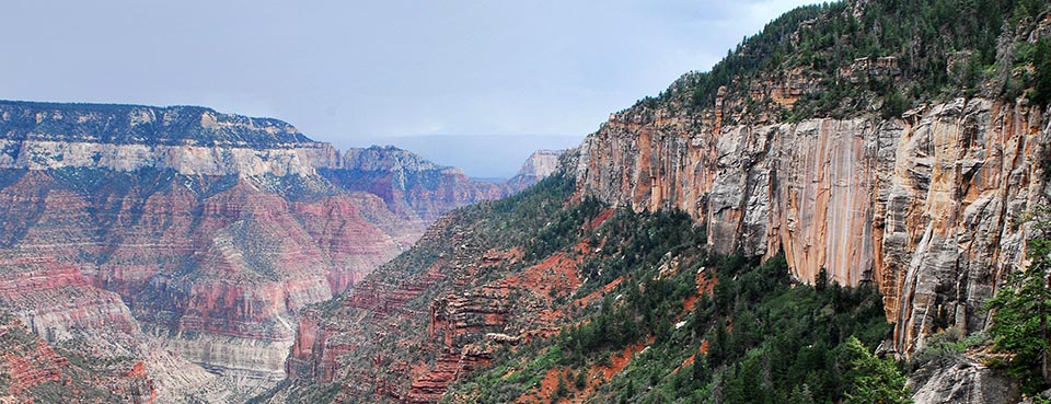 Roaring Springs Canyon from North Kaibab Trail. NPS/Kristen M. Caldon. On the right, a sheer white cliff above a reddish slope. on the left in the distance canyon walls of distinct rock strata.