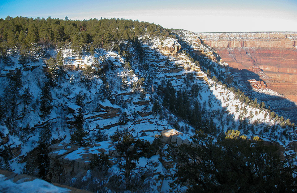 snow-covered cliffs dropping into a large canyon below a forested plateau.