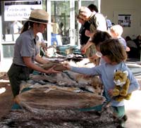 A touch table at Wildlife Day