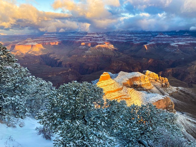 A snowy canyon landscape from the South Rim
