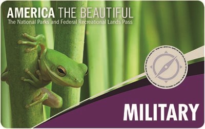 2018 Military annual pass, depicting a frog climbing on vegitation 2018 Military annual pass, depicting a frog climbing on vegitation