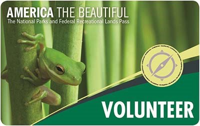 2018 Volunteer pass depicting a green frog climbing on vegitation 2018 Volunteer pass depicting a green frog climbing on vegitation