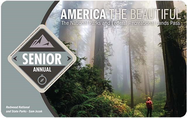 America the Beautiful 2021 Senior Annual Pass shows a hiker silhouetted by a towering misty forest, the words "senior annual" are in a dark grey diamond on the left.