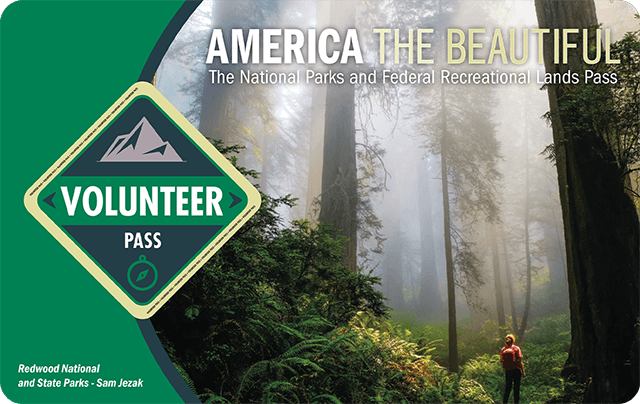 America the Beautiful 2021 Annual Volunteer Pass shows a hiker silhouetted by a towering misty forest, the word "volunteer" is in a green diamond on the left.