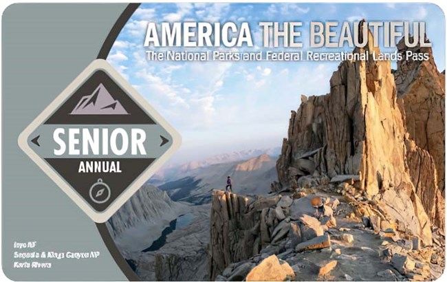 America the Beautiful 2023 Senior Annual Pass shows a backcountry trail ending at an overlook atop a jagged mountain peak, the words "senior pass" are displayed within a grey diamond on the left.